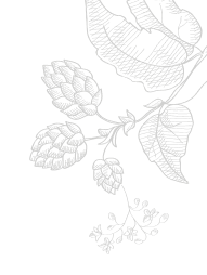 Flower design